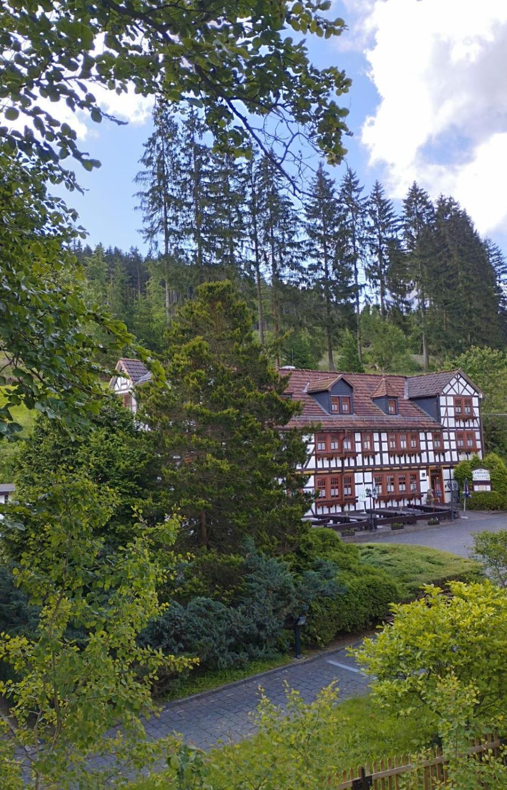 Pension Landhaus Machold Friedrichroda Kültér fotó